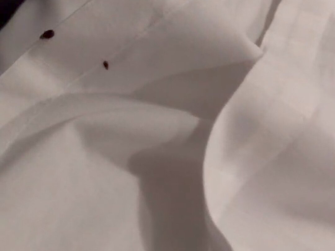 福特斯克瑞汽车旅馆加服务式公寓酒店主图