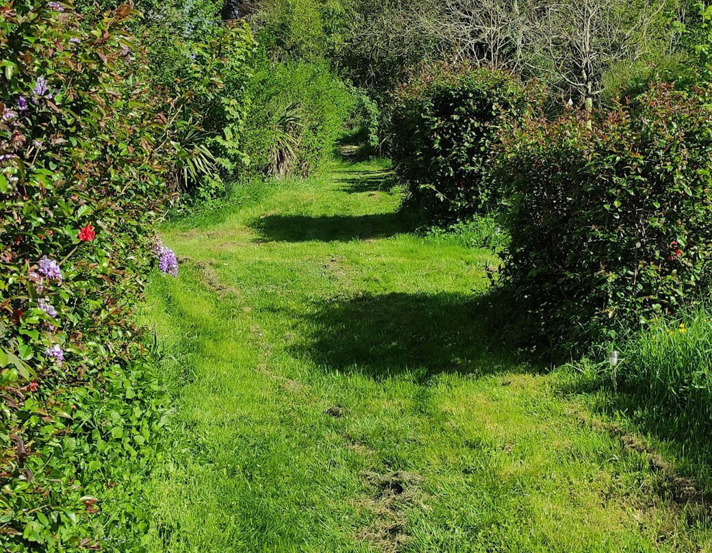 13 Bees Chambre d'Hote (B&B) and Beekeeping Holidays主图