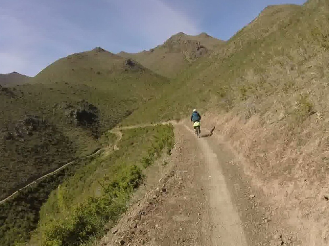 Cycle Journeys Twizel-特威泽尔必去景点