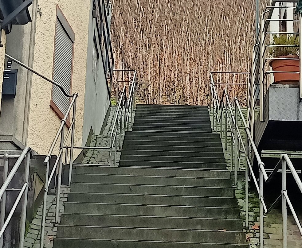 Weingut & Ferienzimmer  Karl Desoye景点图片