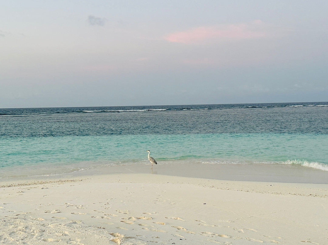 The Signature Collection at Hideaway主图