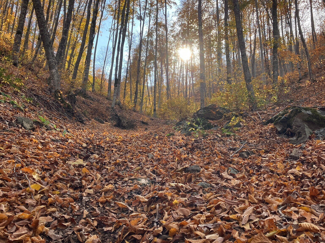 Dumanlı Yaylası景点图片