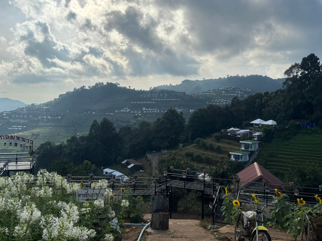 I Love Flower Farm-夜林必去景点