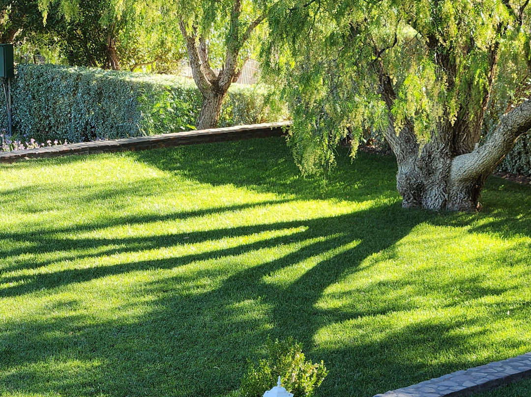 Moonlight Manor Boutique Guesthouse主图