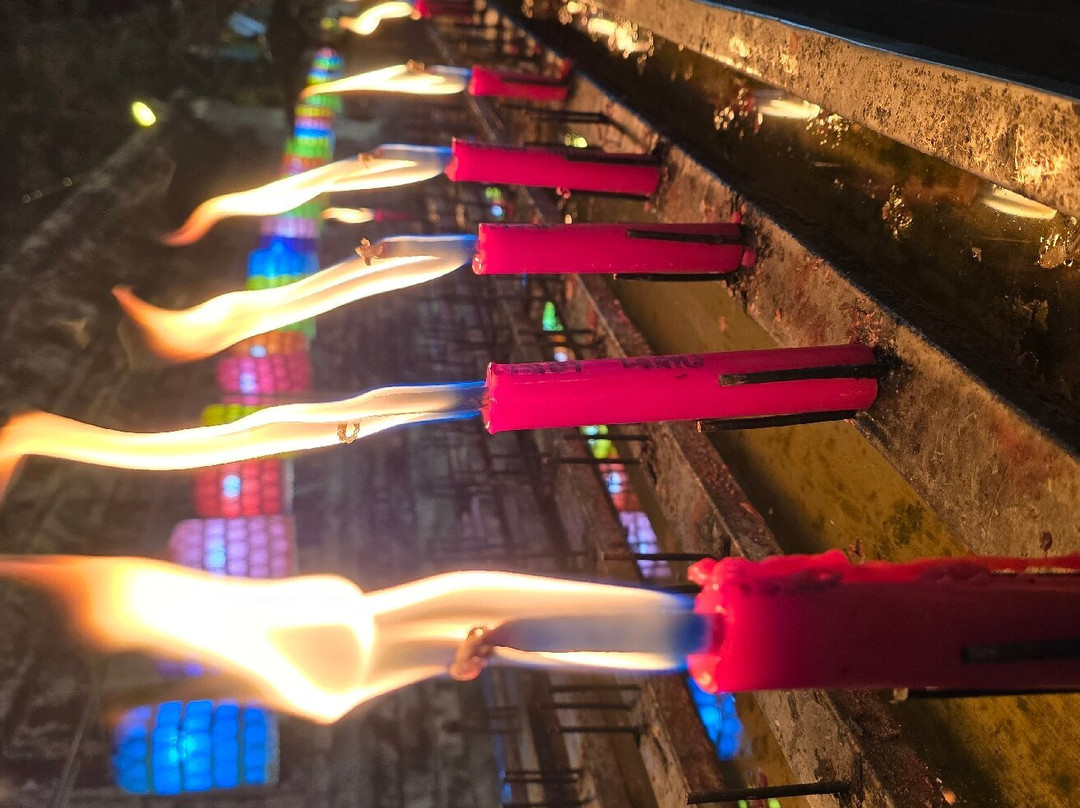 Wat Phra That Chang Kham Worawihan景点图片