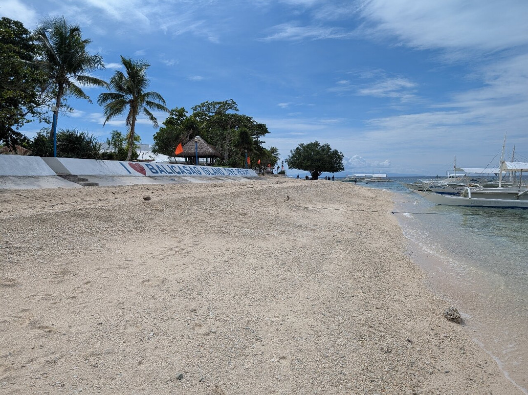 Balicasag Island Tour景点图片