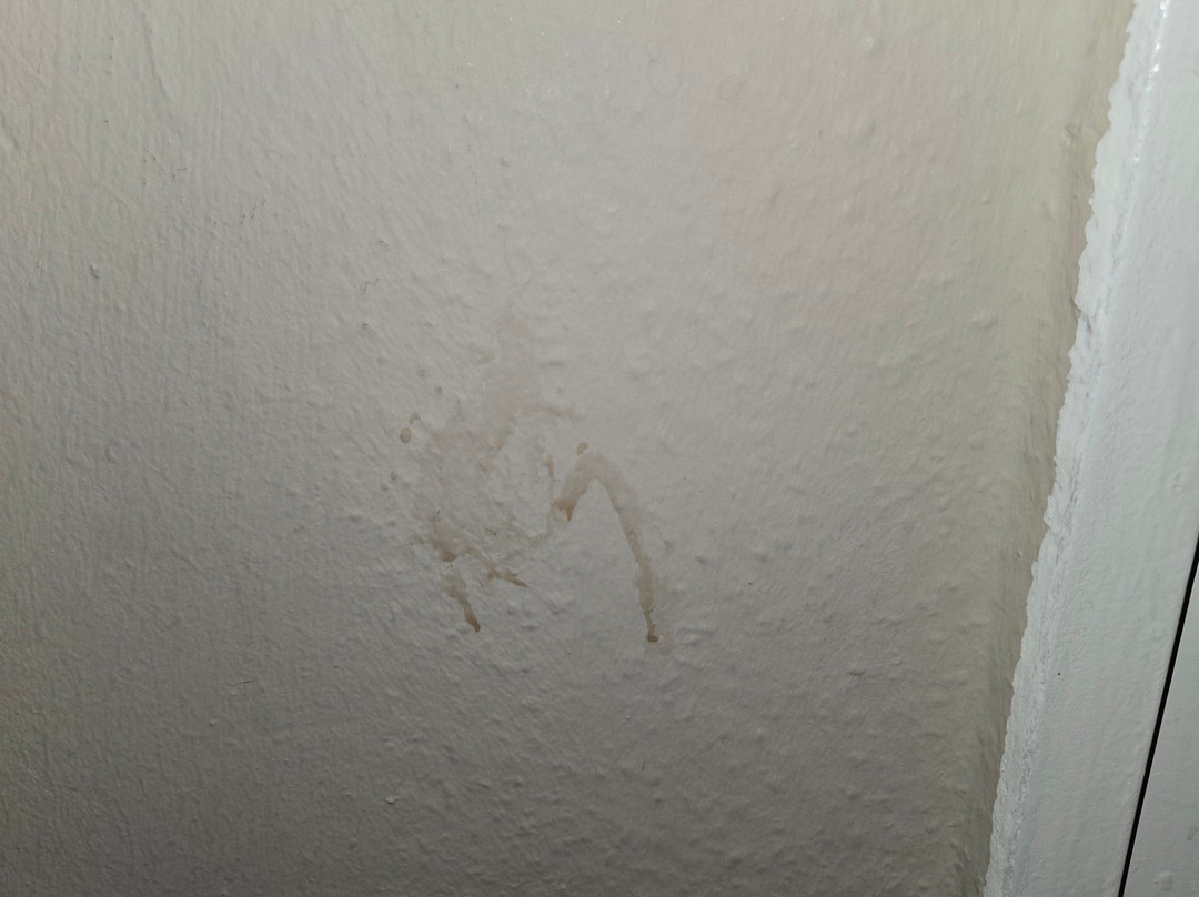 塞德林格托酒店主图