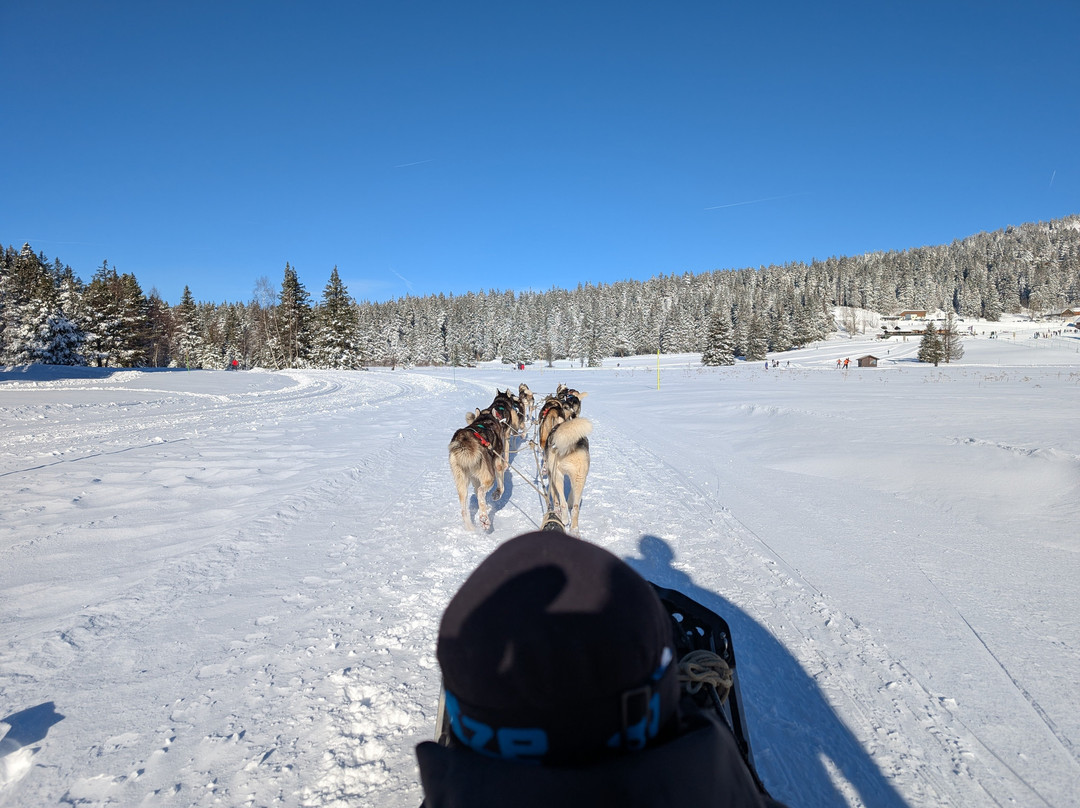 Chiens De Traîneaux Chamrousse-尚鲁斯必去景点