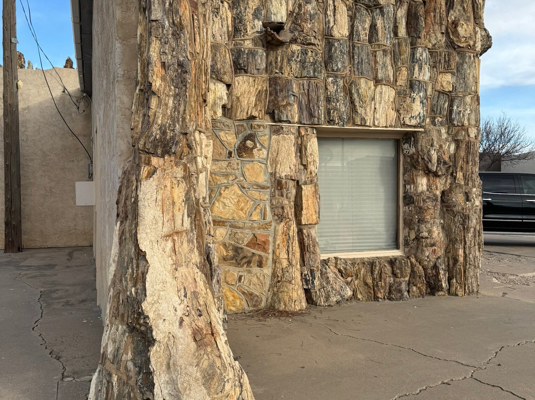 Petrified Wood Gas Station-Lamar必去景点