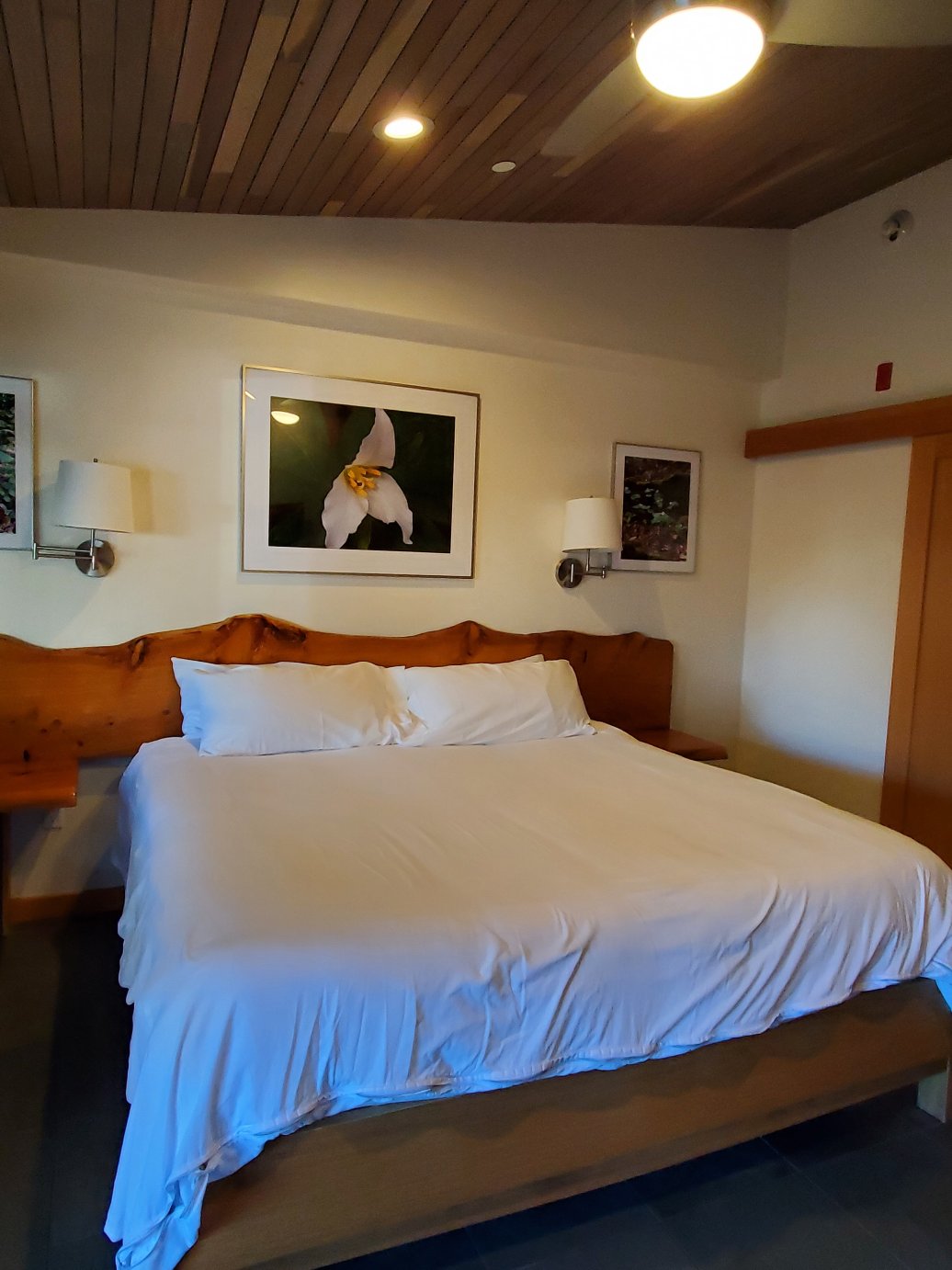 野花精品汽车旅馆-客卧