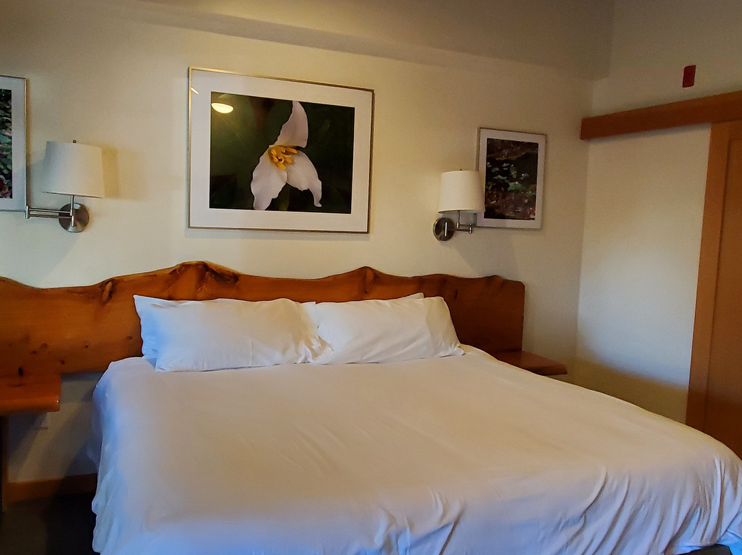 Wildflower Boutique Motel主图