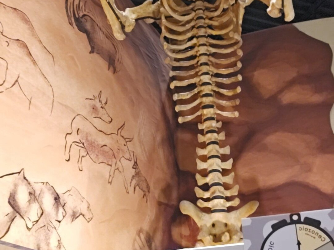 Weis Earth Science Museum-Menasha必去景点