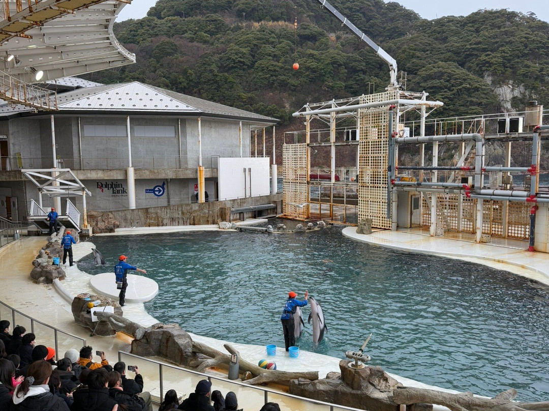 城崎水族馆-丰冈市必去景点