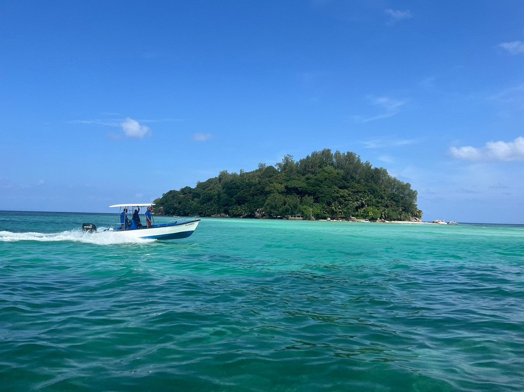 Teddy's Glass Bottom Boat景点图片