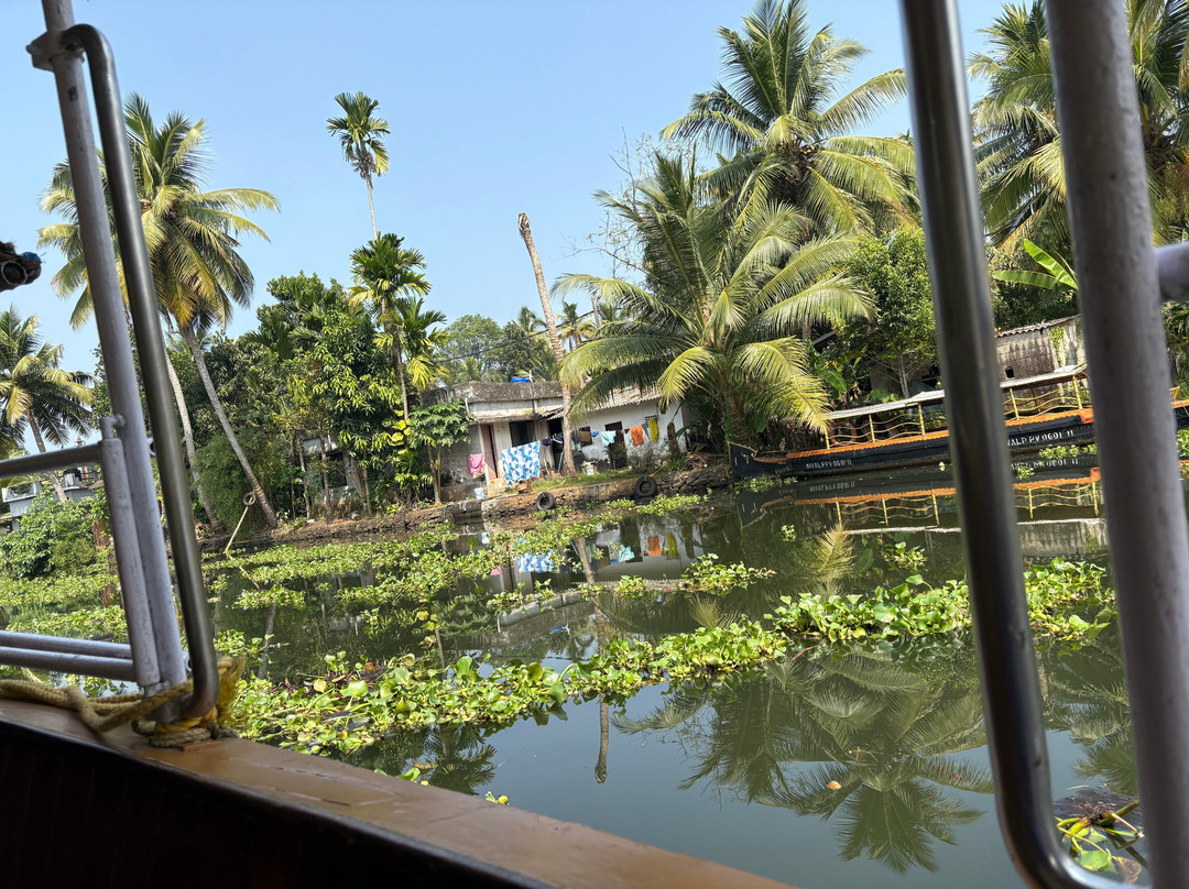 Cochin Magic Day Tours景点图片