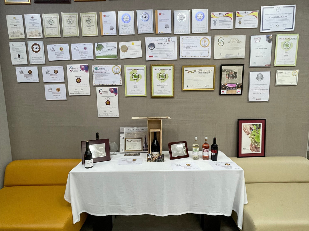 Bodega Vega Tolosa-Casas Ibanez必去景点