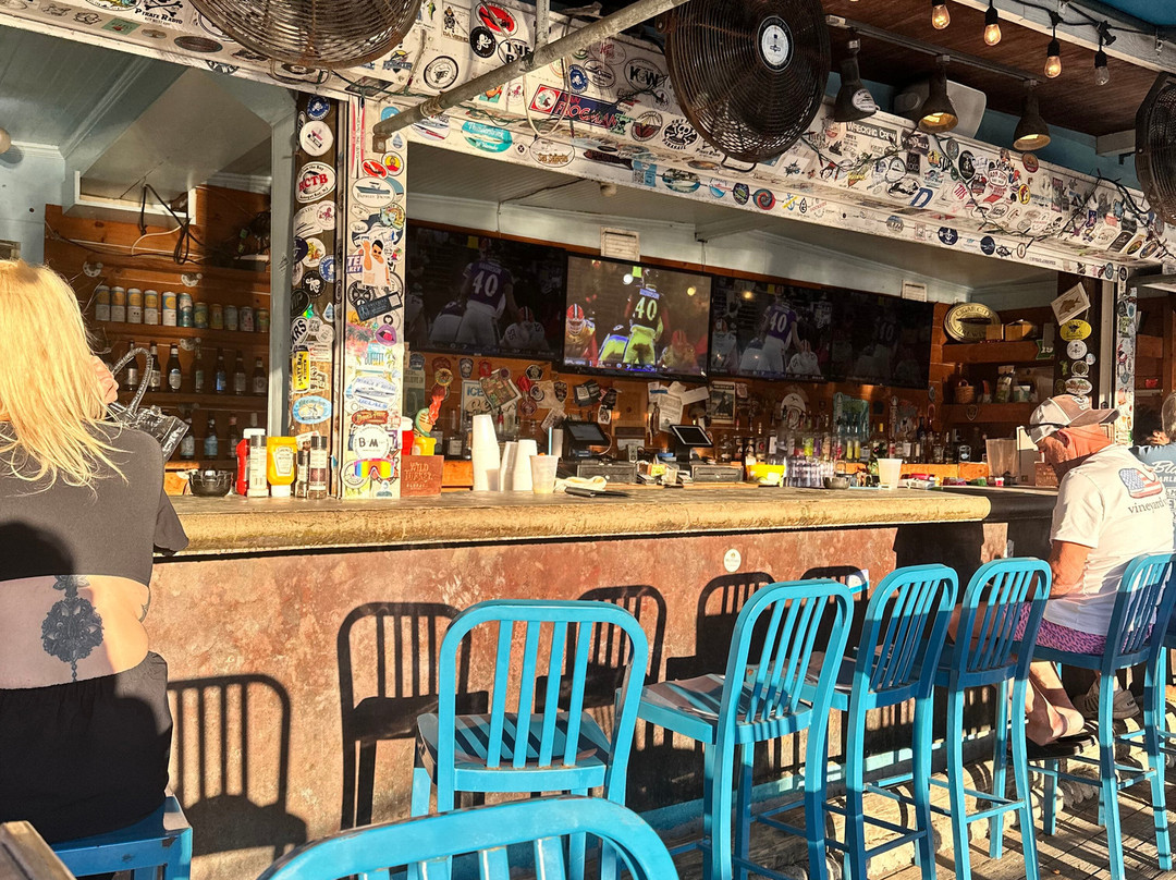 Lazy Dog Adventures-基韦斯特必去景点