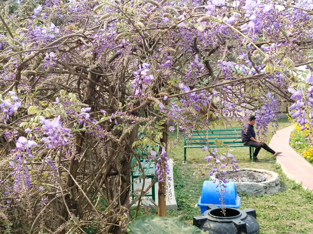 Himalayan Eagle Resort主图