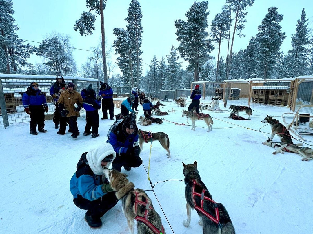 Nellim Wilderness Hotels & Safaris-Nellim必去景点