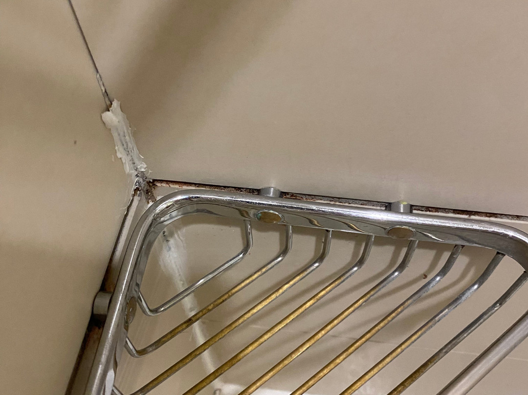 SpringHill Suites by Marriott Green Bay主图