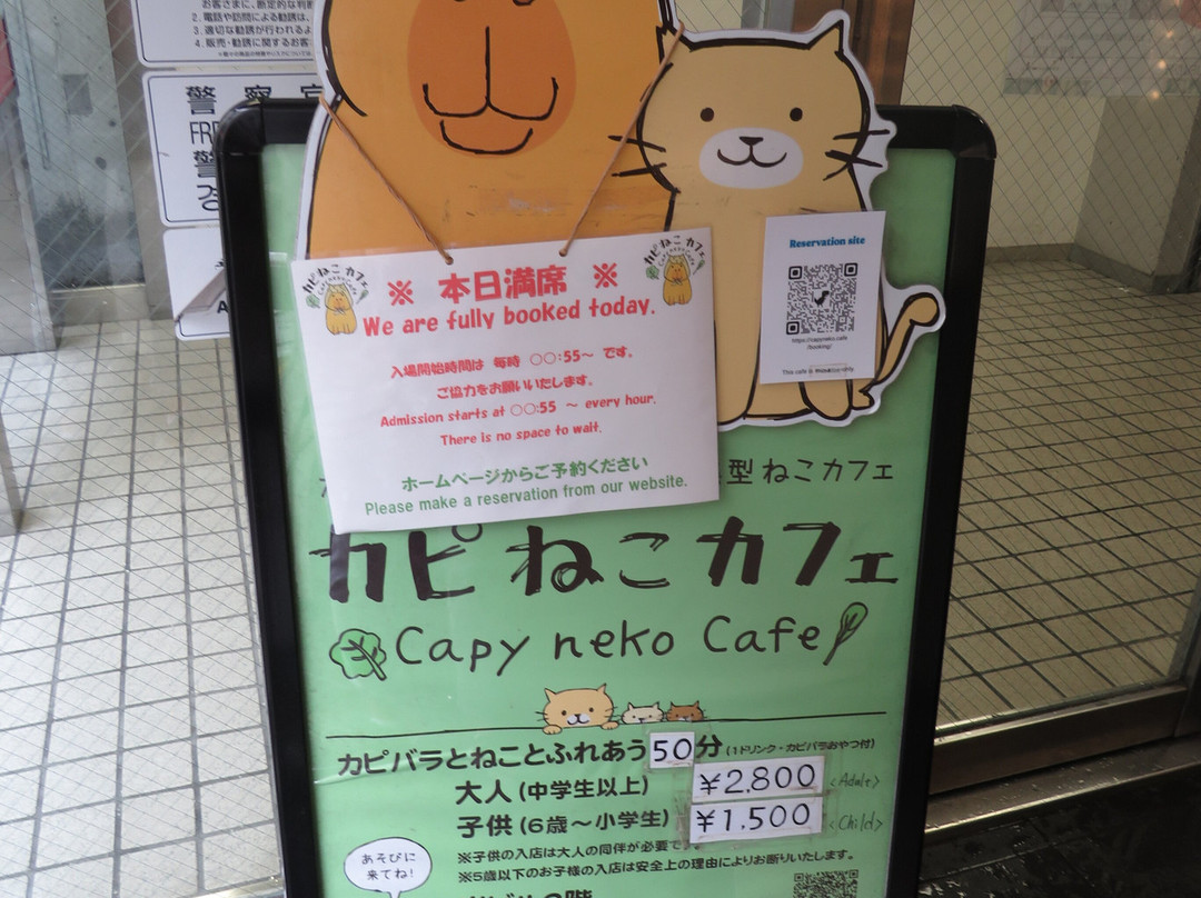 Capyneko Cafe景点图片