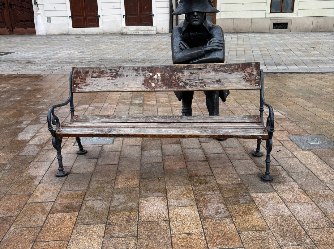Napoleon’s Army Soldier Statue-布拉迪斯拉发必去景点