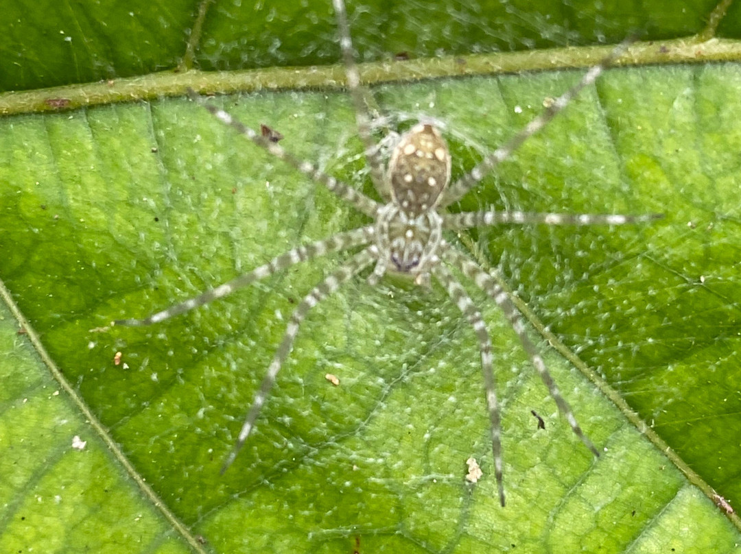 Fazenda Yrere-Ilheus必去景点