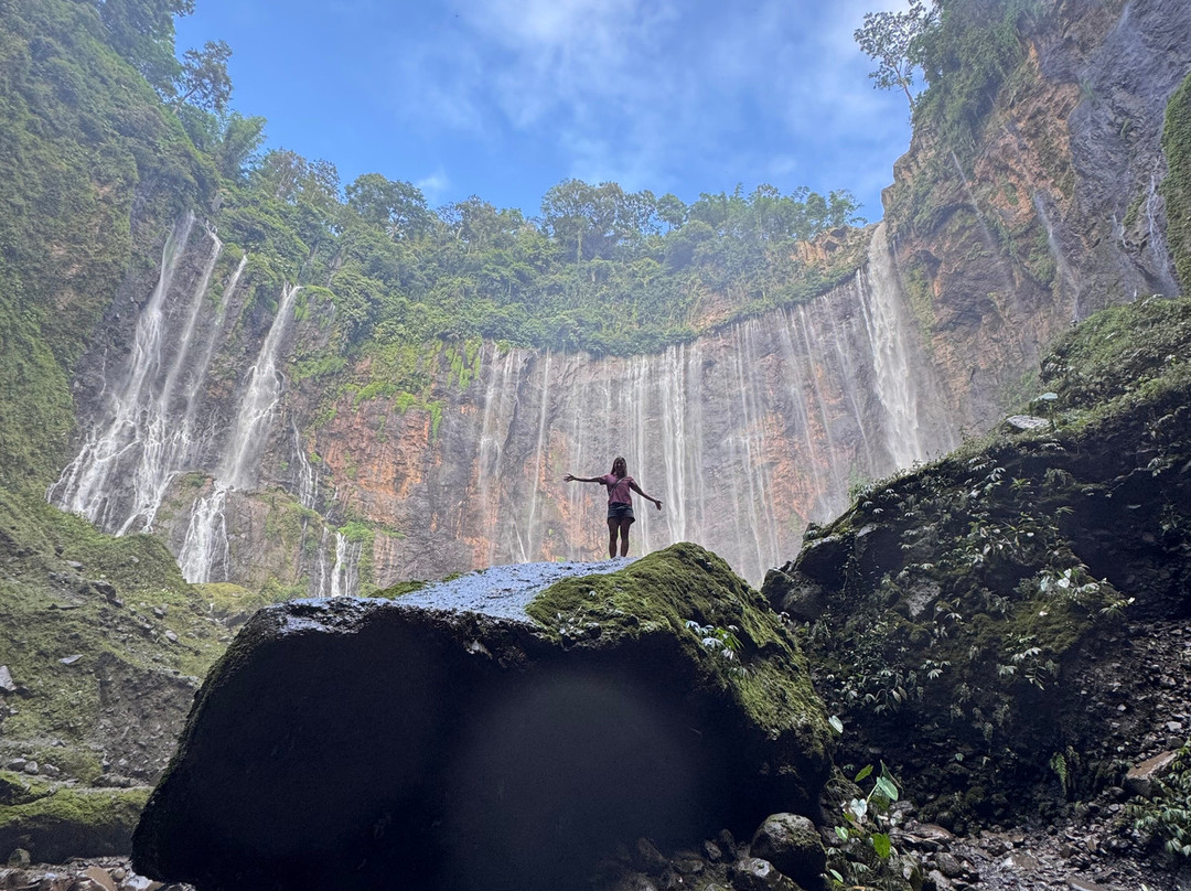 Bromo Java Paradise景点图片