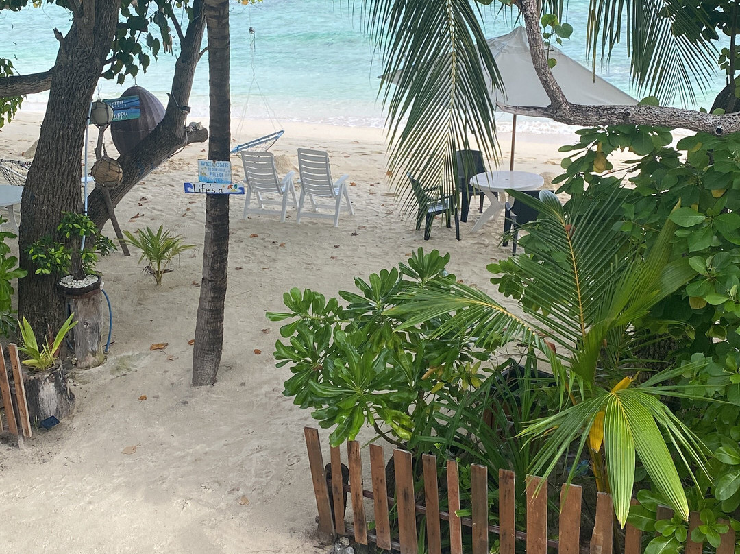 Dhamana Beach is located on the Sunrise Beach of Mahibadhoo, Maldives.主图