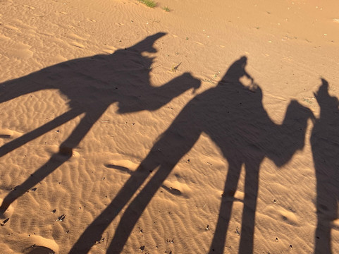 All Morocco Tours-非斯必去景点