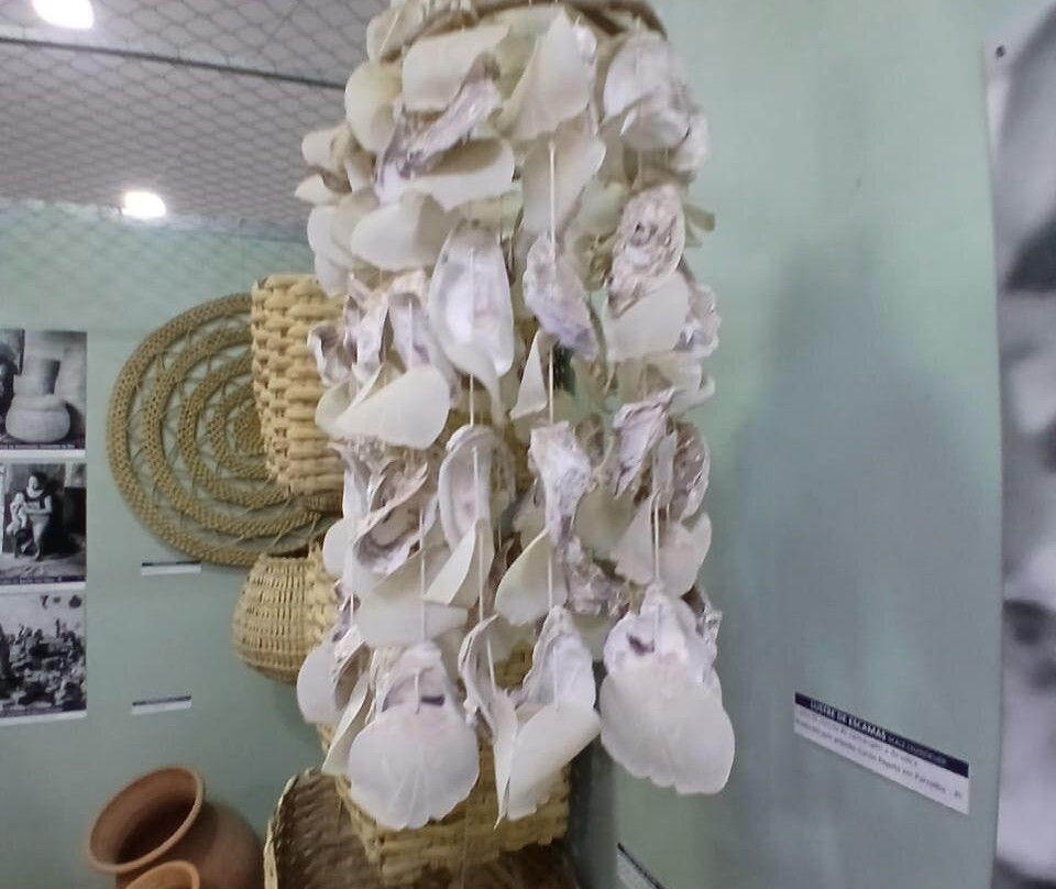 Museu Do Mar Delta Do Phb-Parnaiba必去景点