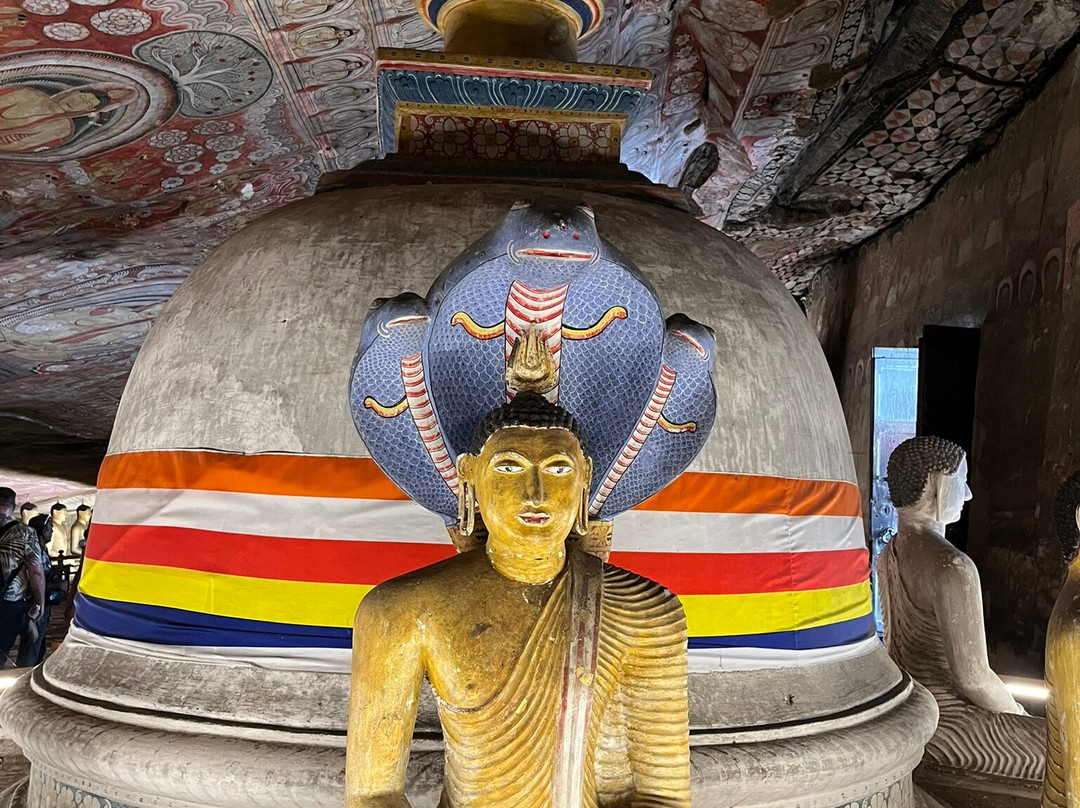 See Sri Lanka Tours景点图片