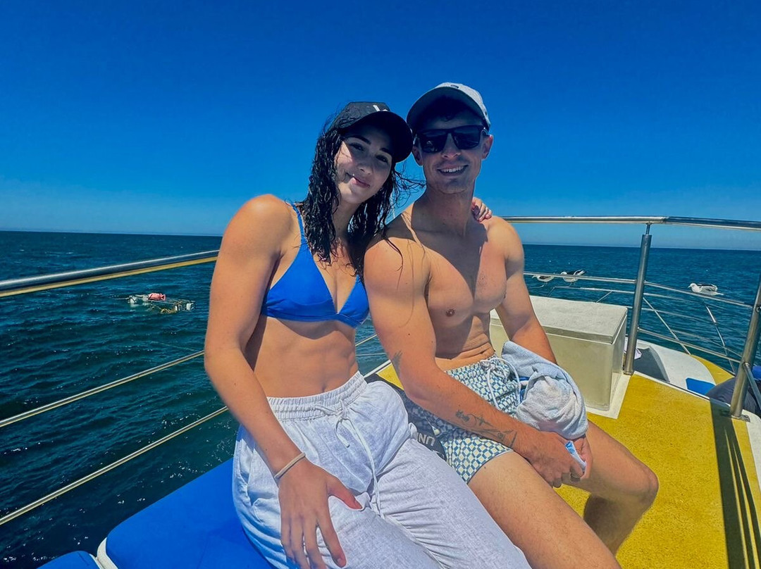 White Shark Divers-干斯拜必去景点