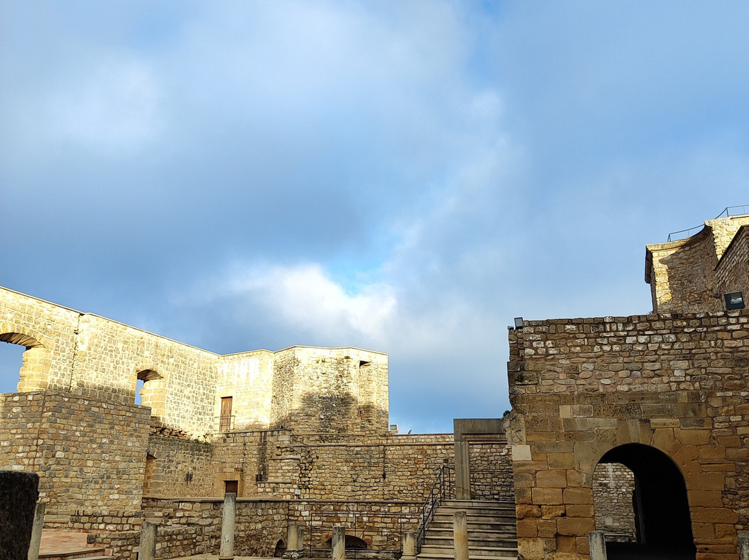Castillo de Sabiote景点图片