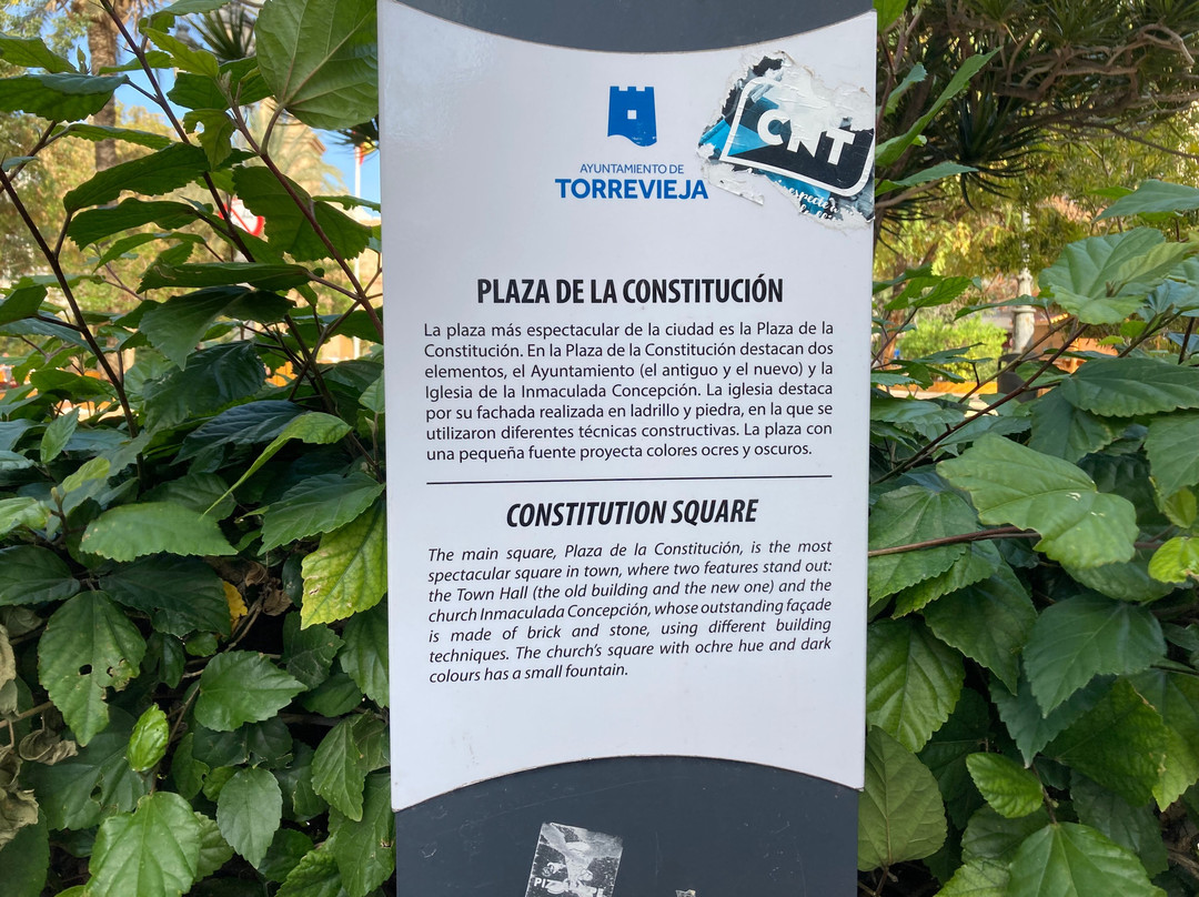 Plaza de la Constitucion景点图片