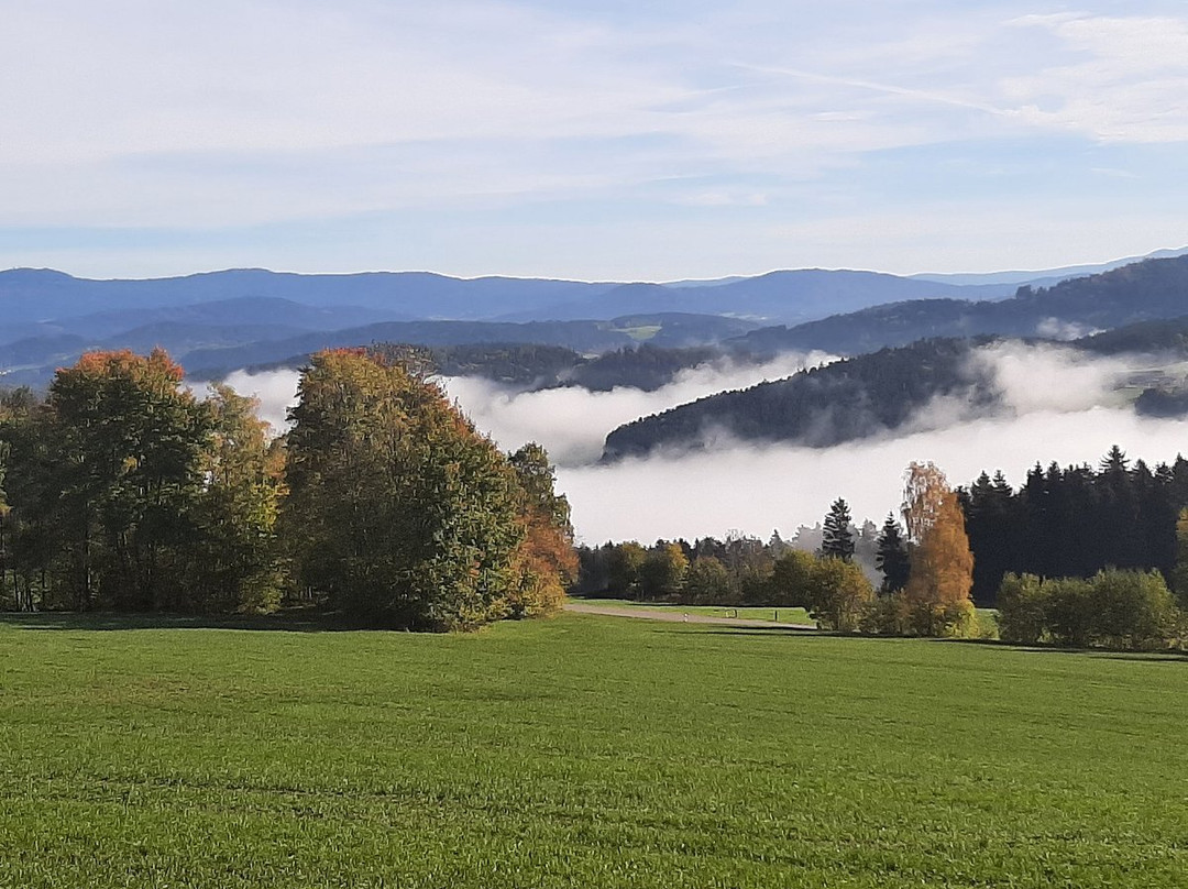 Hotel Bayerischer Wald主图