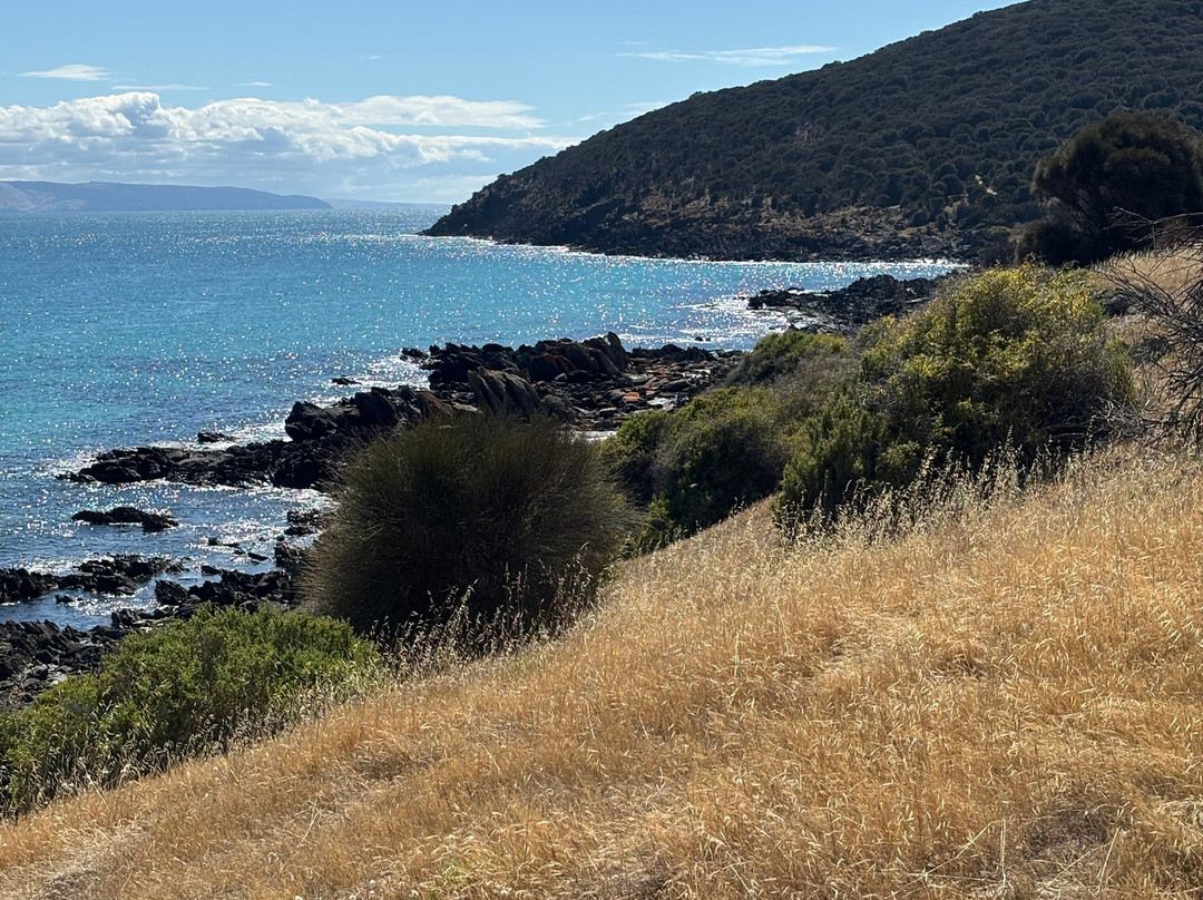 Penneshaw Beach-袋鼠岛必去景点