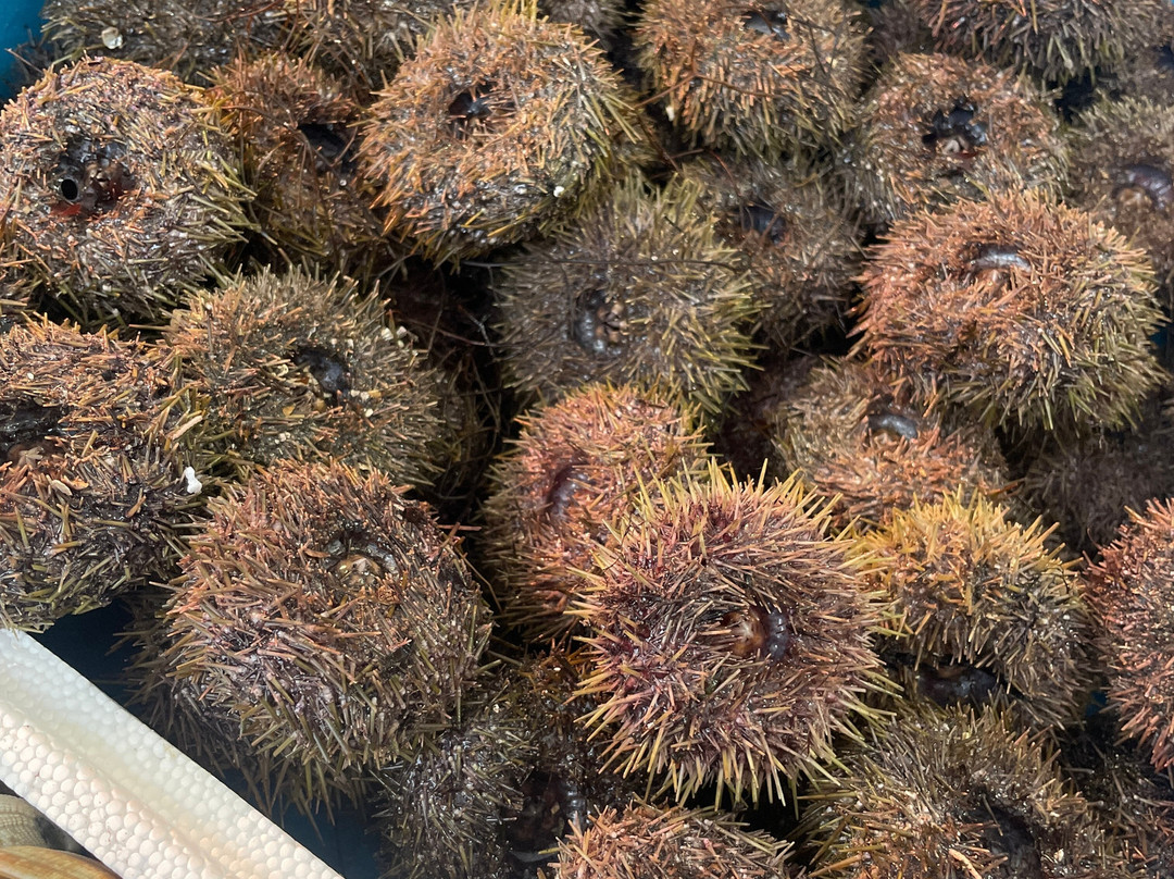 Laforet Et Fils-迪沃恩莱班必去景点