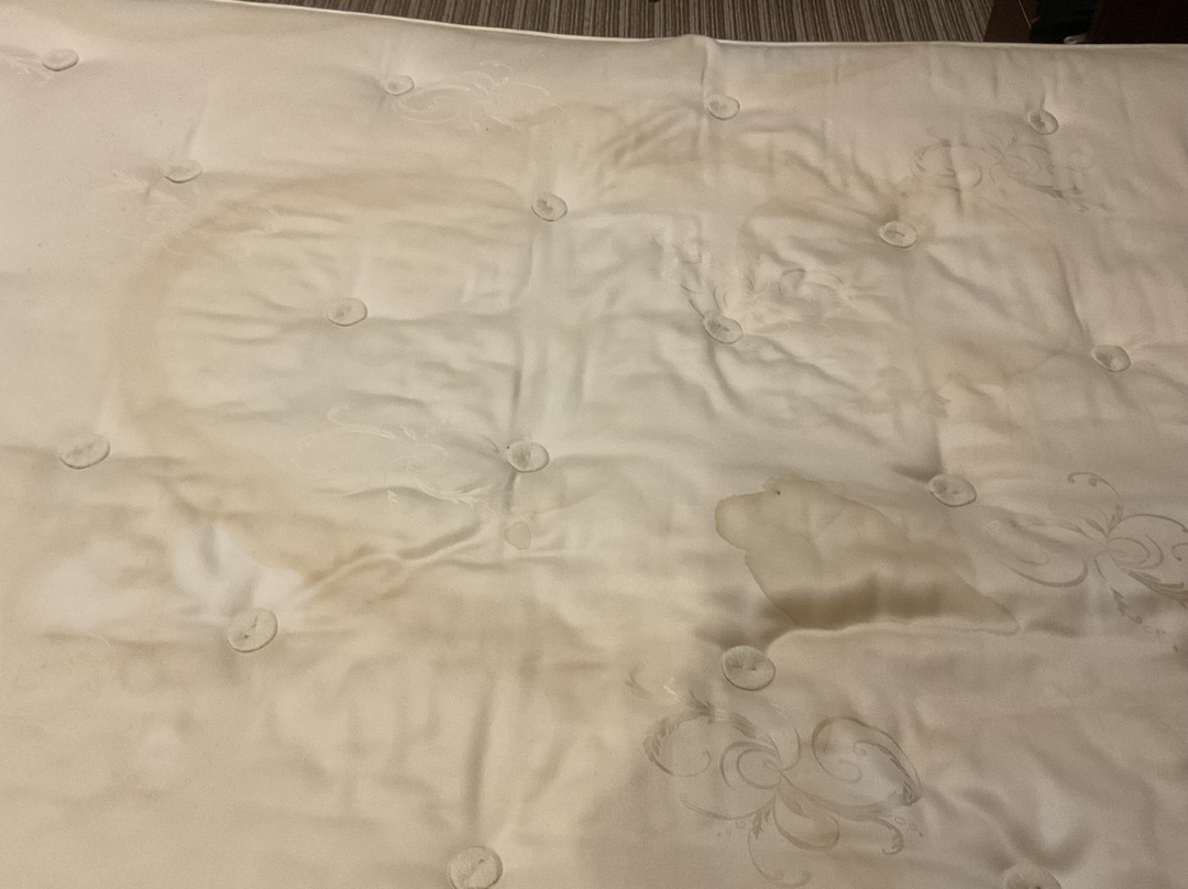 乔治酒店主图