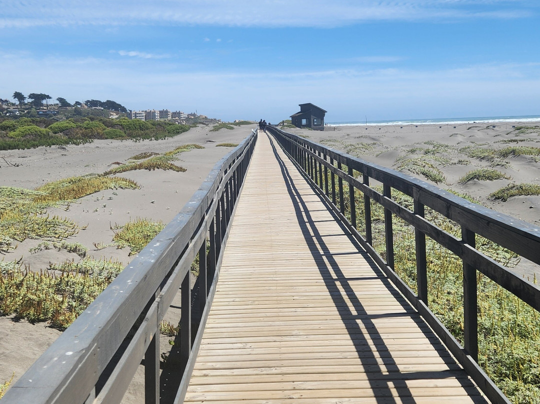 Parque Humedal Río Maípo-Santo Domingo必去景点