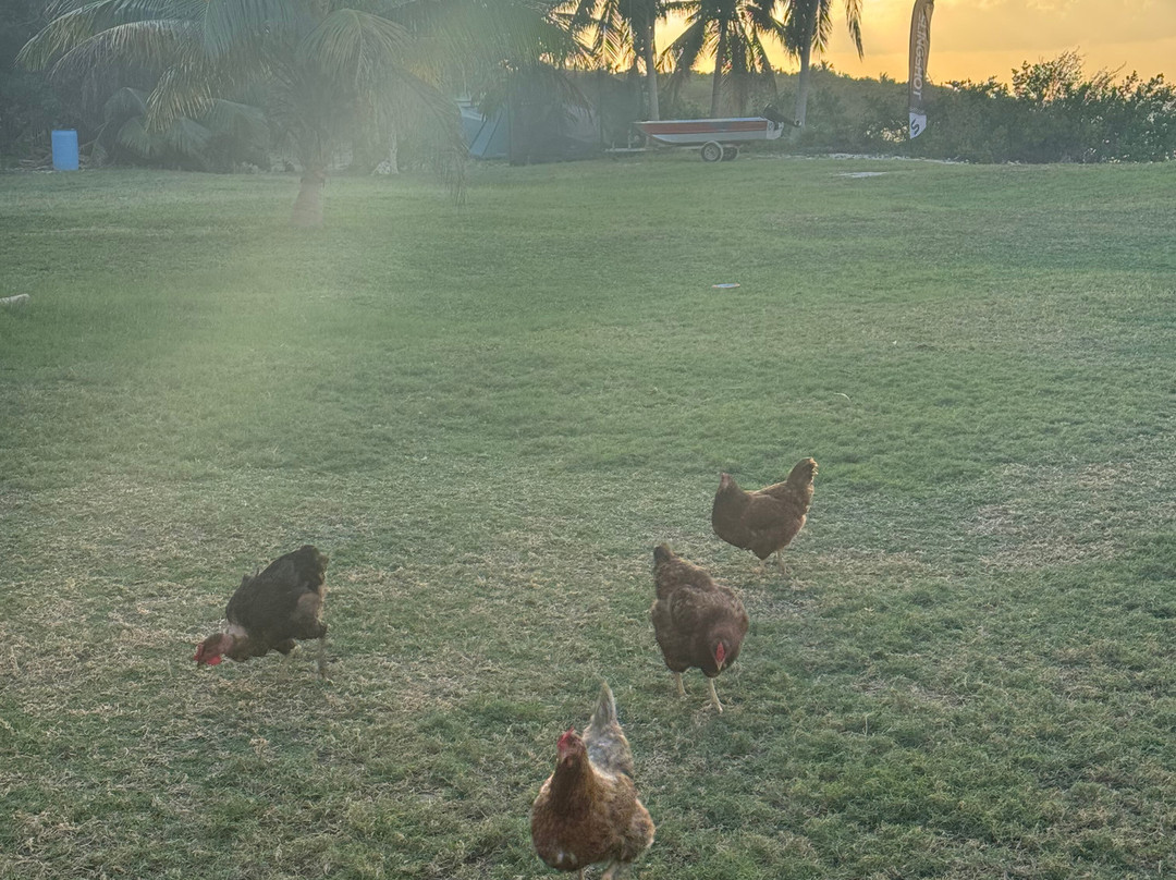 Ikarus Kiteboard Mexico-女人海滩必去景点