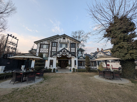 柠檬树斯里纳格酒店主图