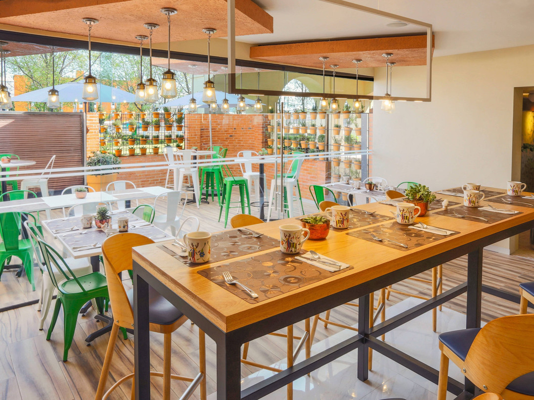 托卢卡机场万怡酒店主图