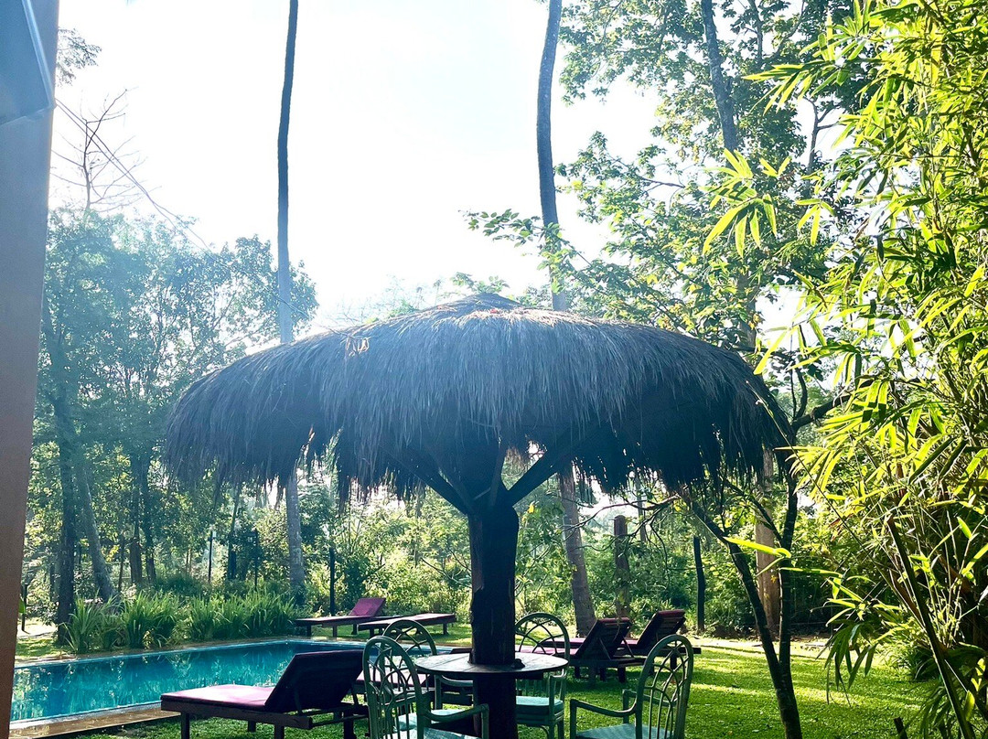 The Cottage Sigiriya主图