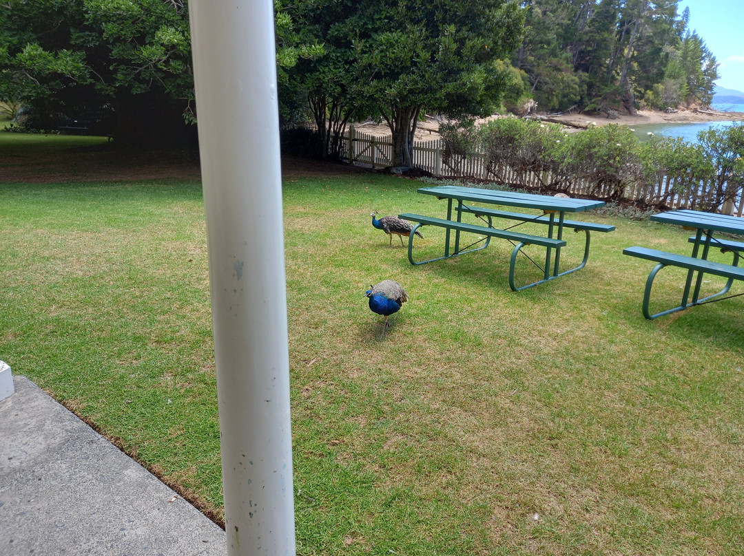 Kawau Cruises-瓦卡沃夫必去景点