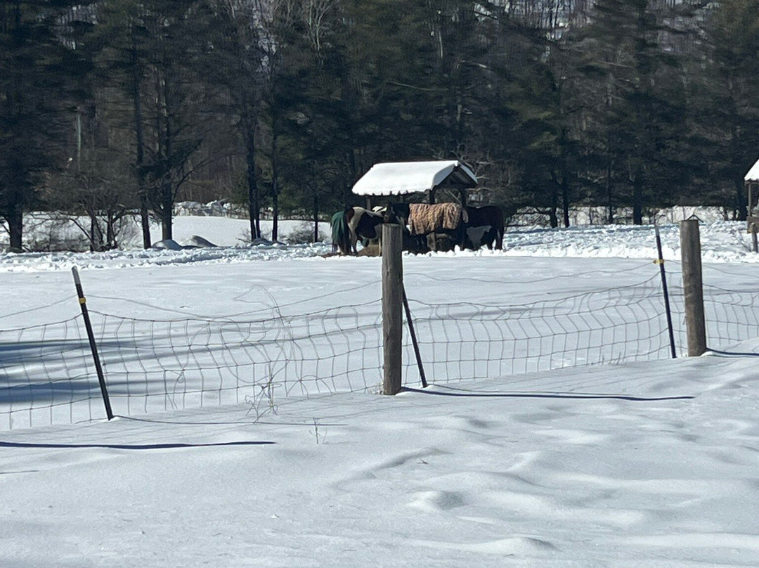 Circle B Ranch-Chestertown必去景点