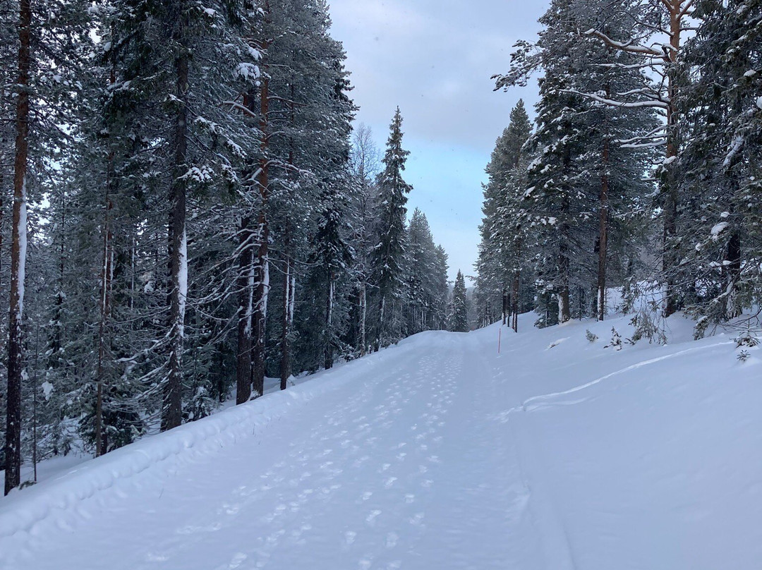 SKI-INN MastonAitio主图