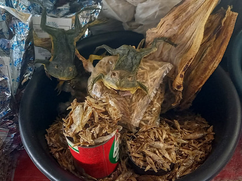 Kavana Tours Namibia-温德和克必去景点