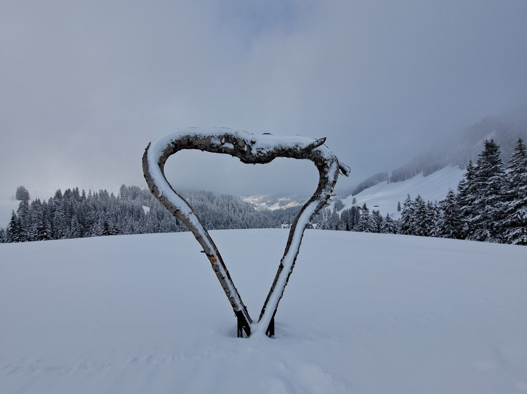 Ferien- und Familienhotel Alpina主图