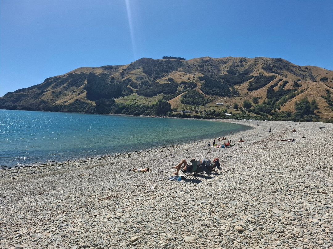 Cable Bay Walkway景点图片